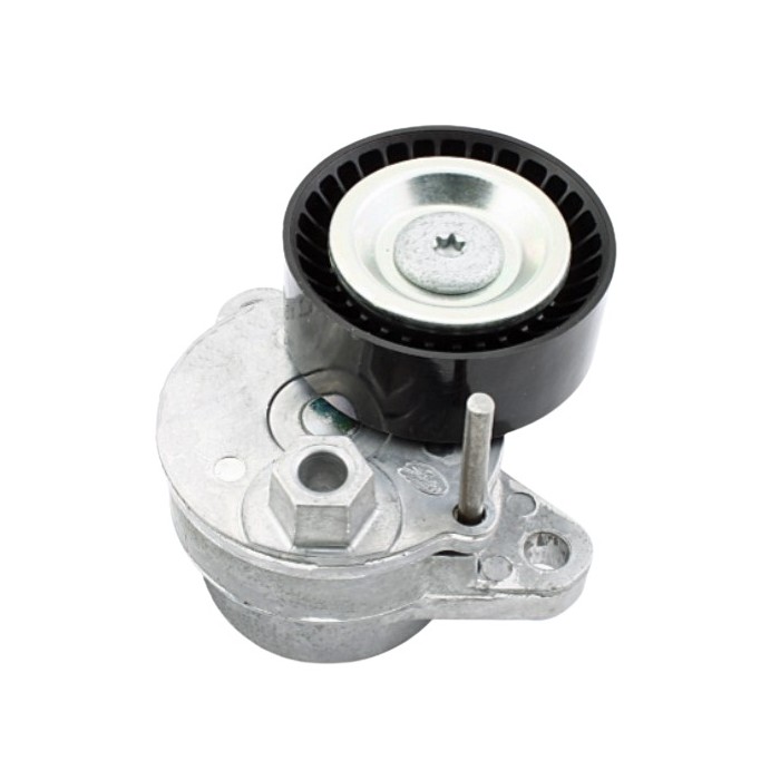 Tensor da Correia do Alternador INA 5340540100