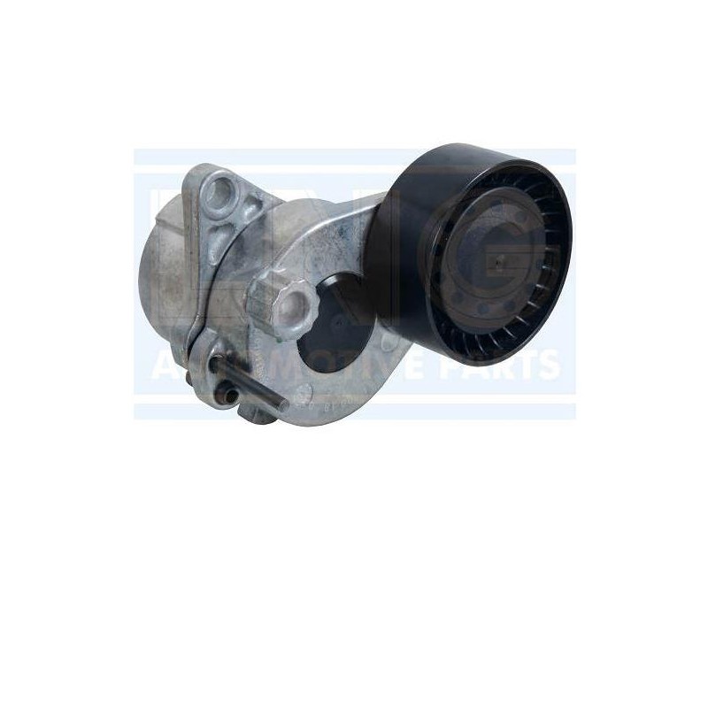 Tensor da Correia do Alternador LNG 20410