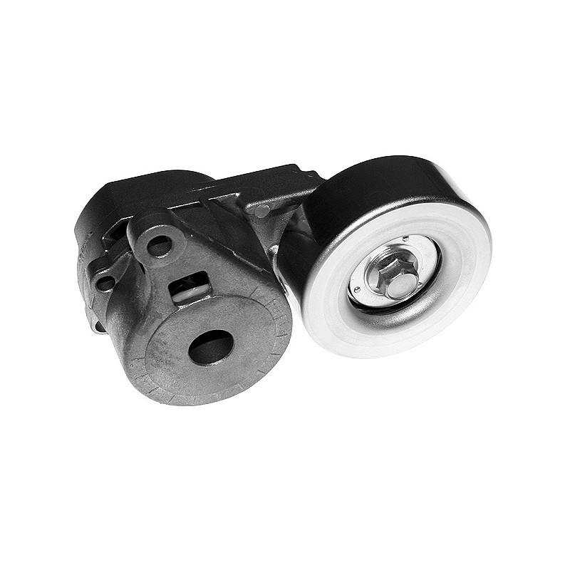 Tensor da Correia do Alternador INA 5340285100