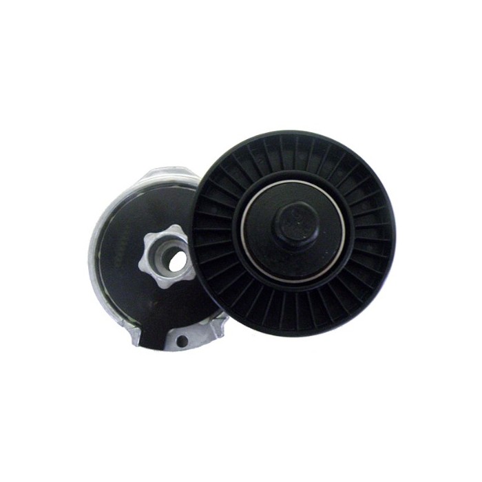 Tensor da Correia do Alternador INA 5340163100