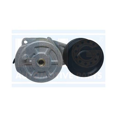 Tensor da Correia do Alternador LNG 20465