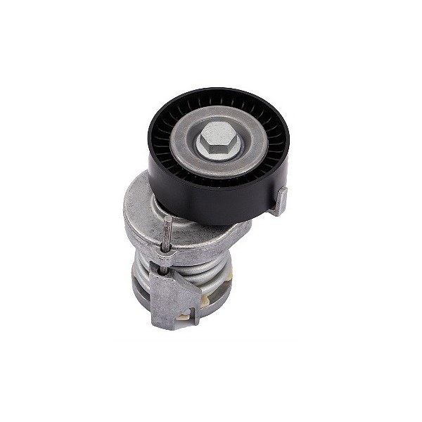 Tensor da Correia do Alternador sem Ar INA 5340123200