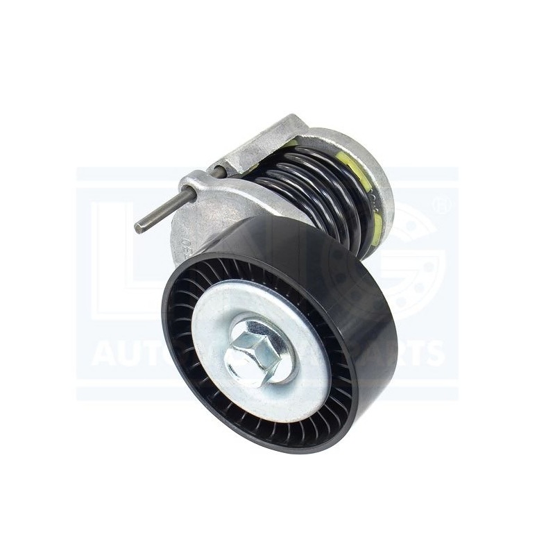 Tensor da Correia do Alternador LNG 20550