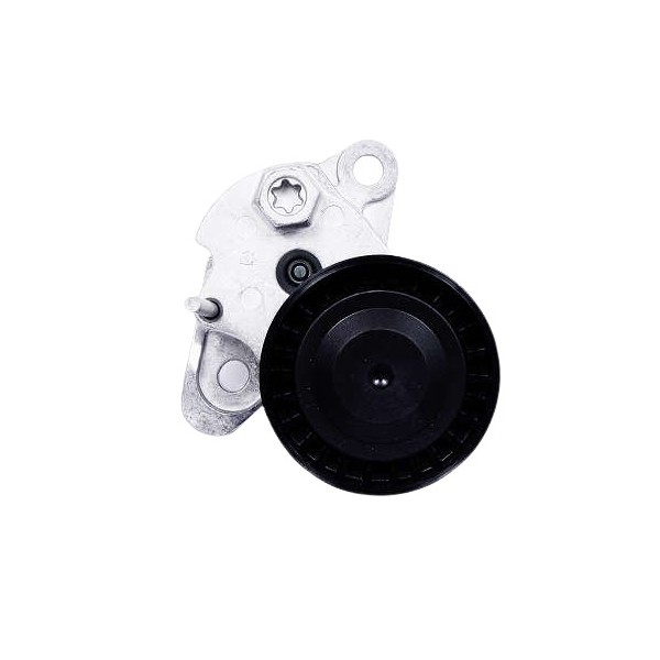 Tensor da Correia do Alternador Dayco APV3682