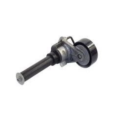 Tensor/esticador da correia do alternador Importado RY5663