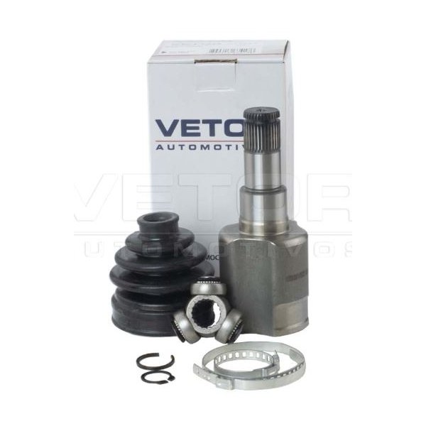 Tulipa Vetor VT5723