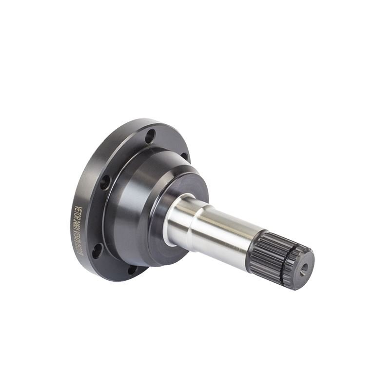 Tulipa Vetor VT5479