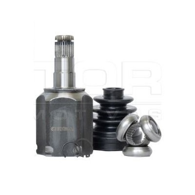 Tulipa Vetor VT5999