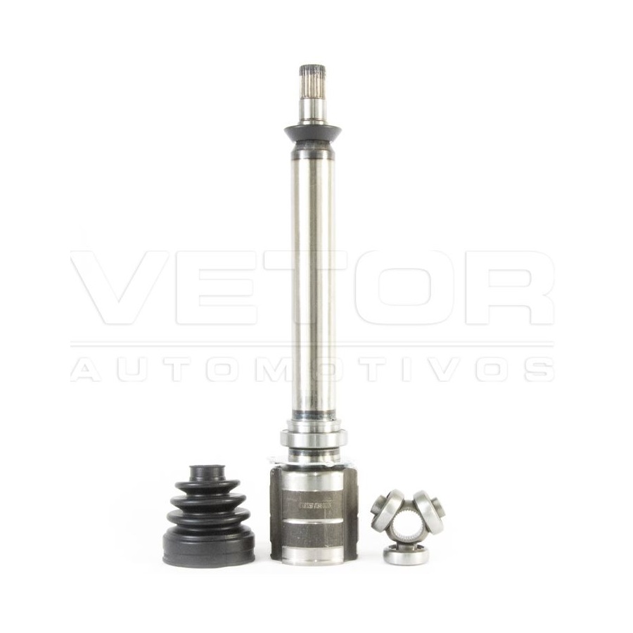 Tulipa Vetor VT5946