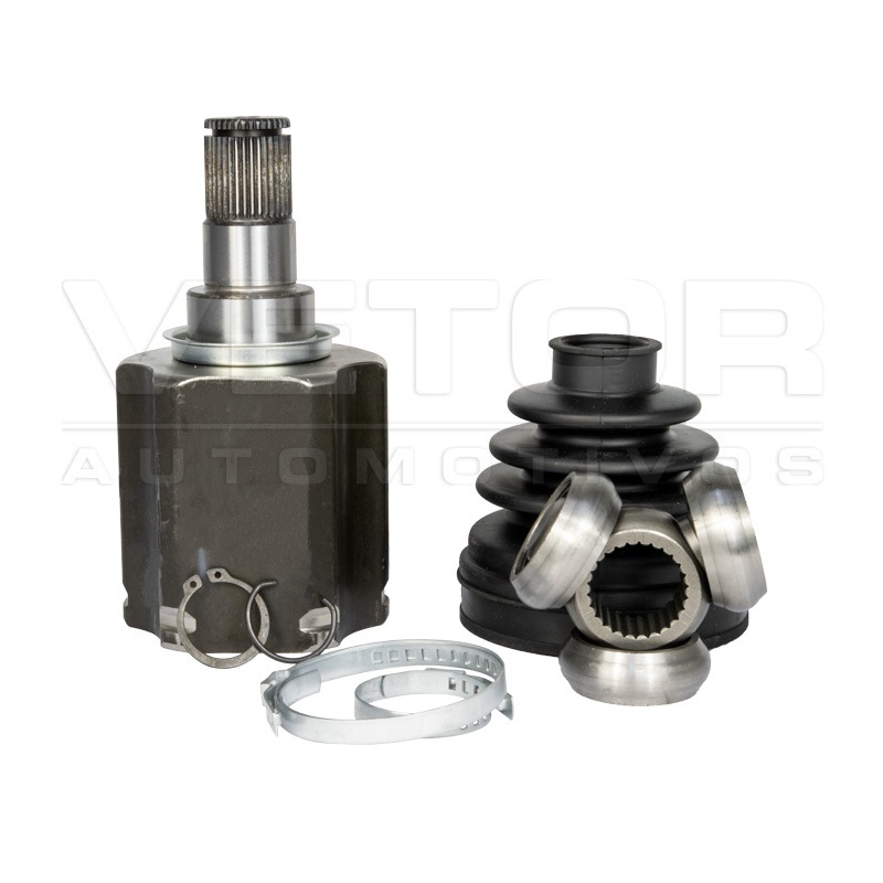 Tulipa Vetor VT6051