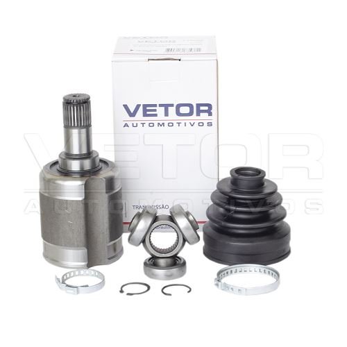 Tulipa Vetor VT5659