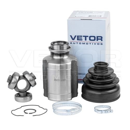 Tulipa Vetor VT5694