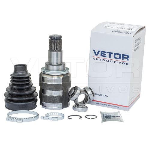 Tulipa Vetor VT5830