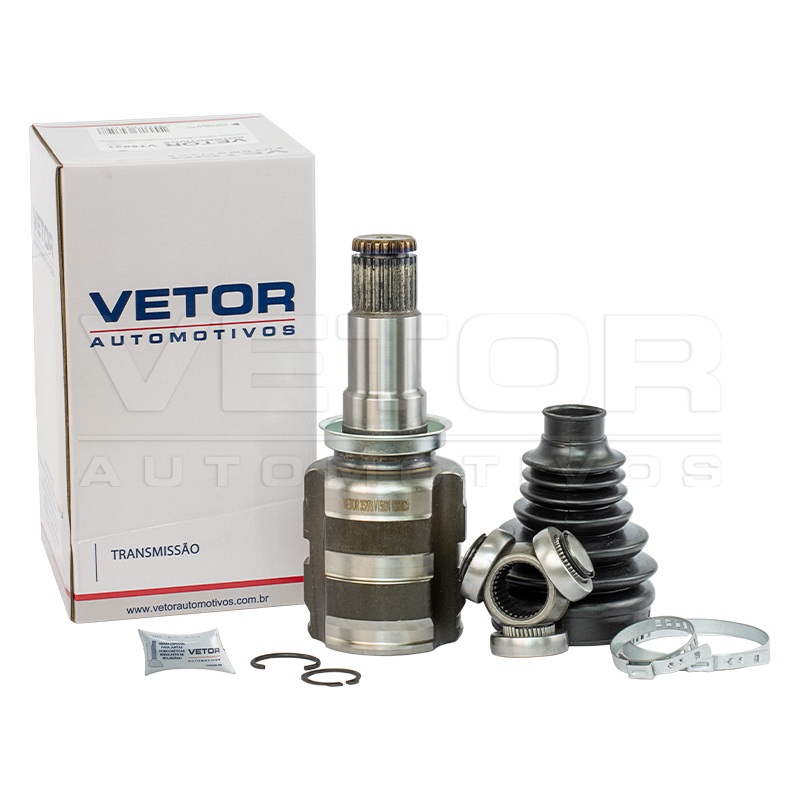 Tulipa Vetor VT5831