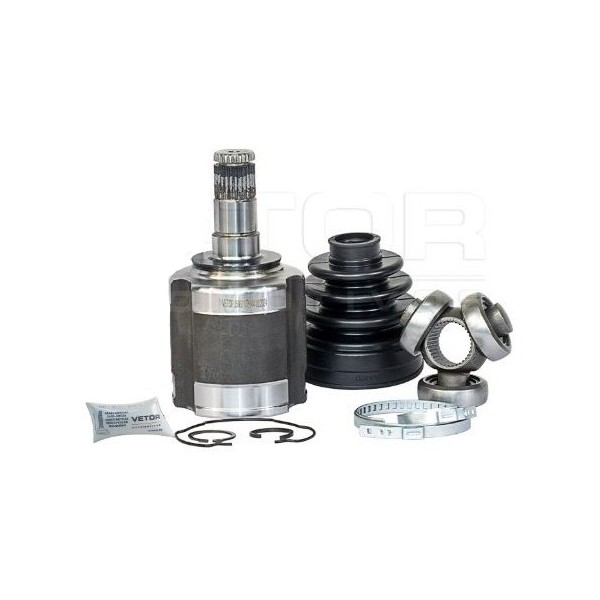 Tulipa Vt5944 Vetor VT5944