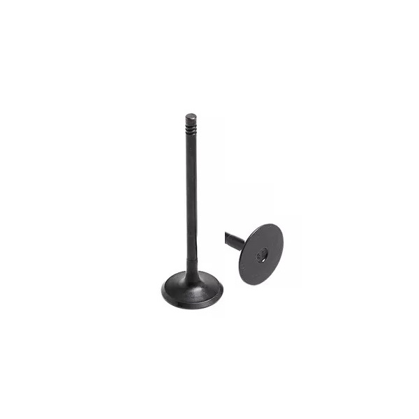 Válvula de Admissão Motorbest 01317810