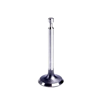Válvula de Admissão Motorbest 01371500