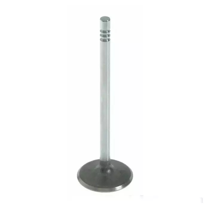 Válvula de Admissão Motorbest 01348370