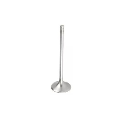 Válvula de Admissão Motorbest 01331630