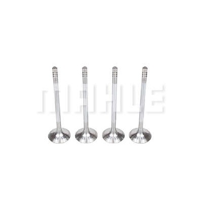 Válvula de Admissão Mahle/Metal Leve VA0250168STD