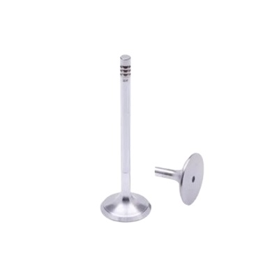 Válvula de Admissão Motorbest 01303880