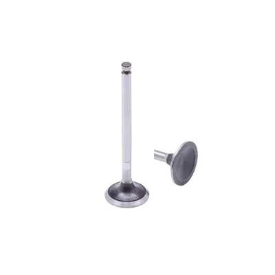Válvula de Admissão Motorbest 01334500