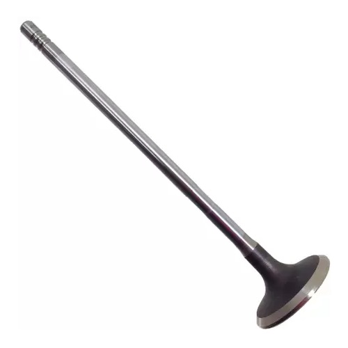 Válvula de Admissão Motorbest 0133469070180