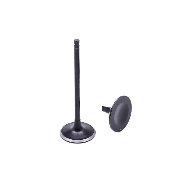 Válvula de Admissão Motorbest 01344630