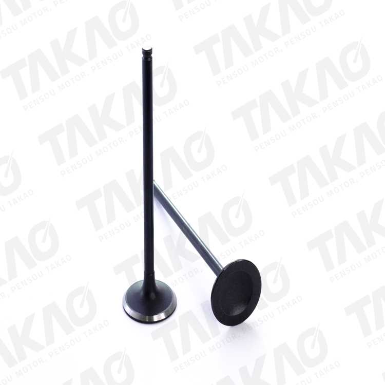 Válvula de Admissão Takao VADH16