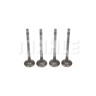 Válvula de Admissão Mahle/Metal Leve VA2111594STD