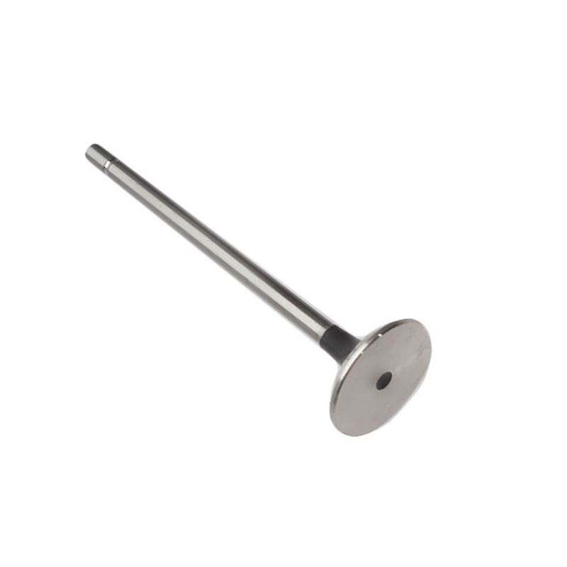 Válvula de Admissão Motorbest 01380900