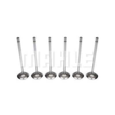 Válvula de Admissão Mahle/Metal Leve VA0381699STD
