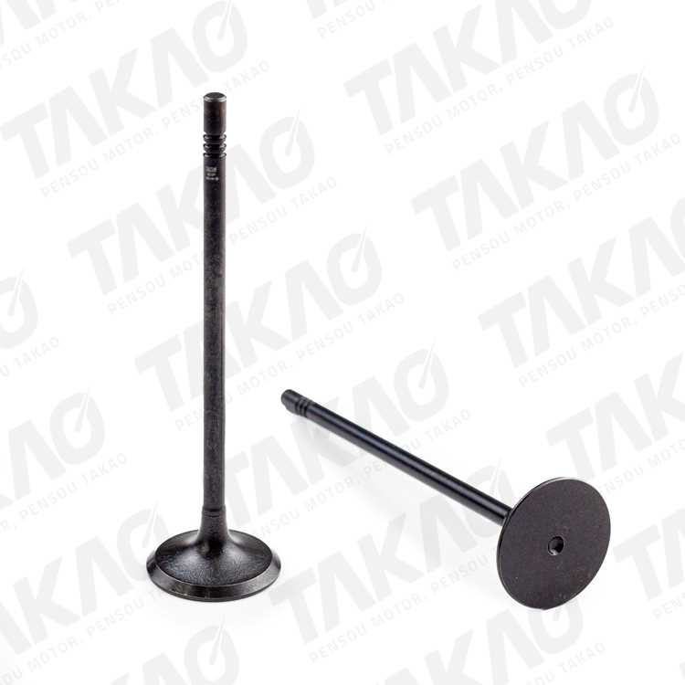 Válvula de Admissão Takao VADVW10F