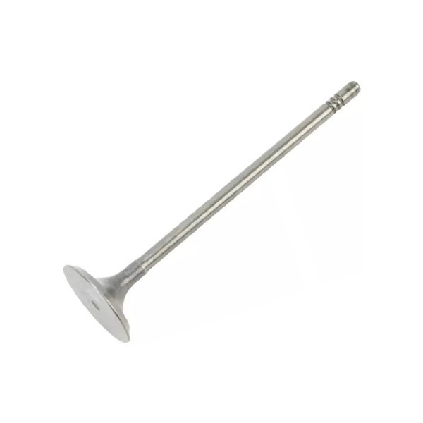 Válvula de Admissão Volkswagen 036109601AE
