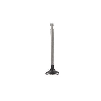 Válvula de Escape Motorbest 01313770