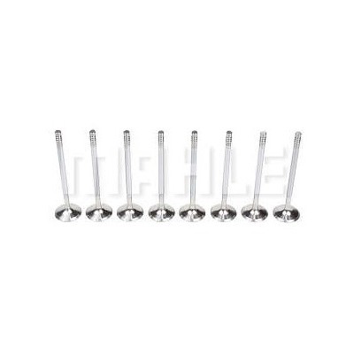 Válvula de Escape Mahle/Metal Leve VE0140248STD