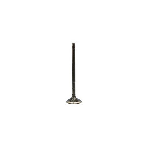 Válvula de Escape Magneti Marelli VEC04020