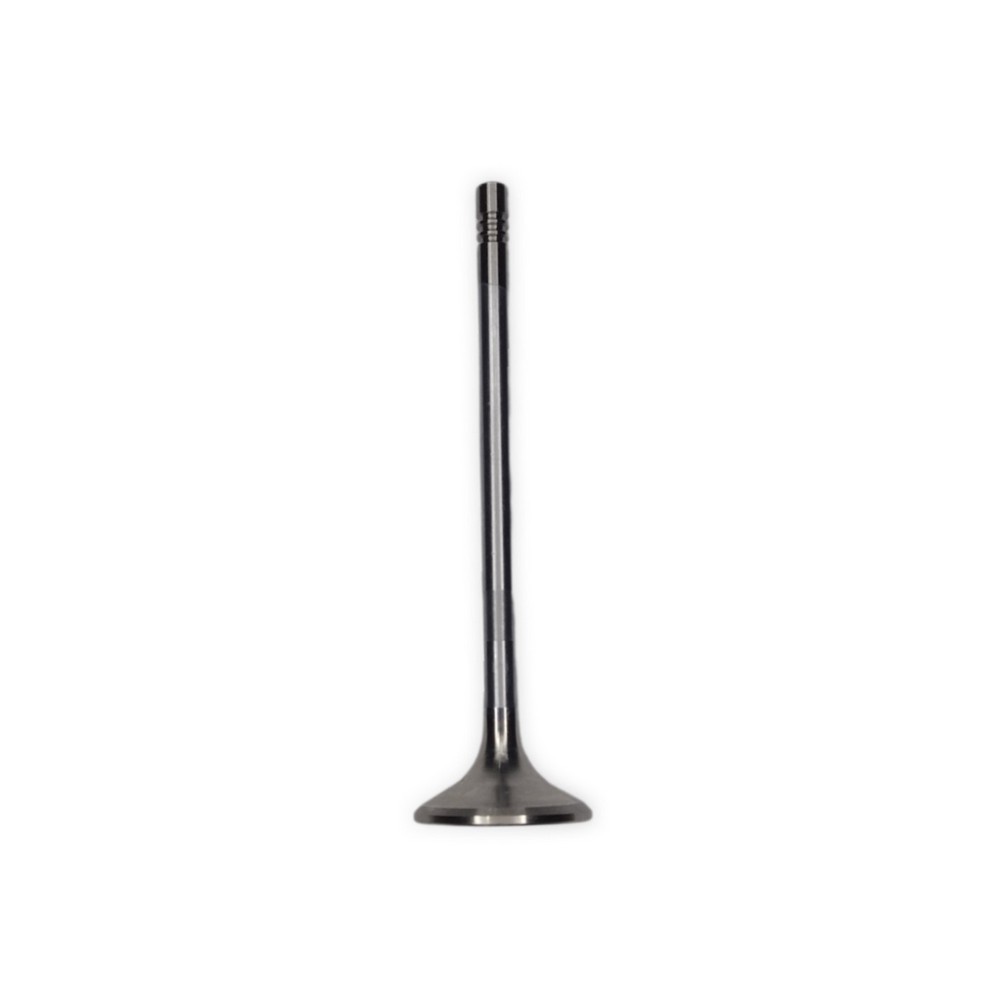 Válvula de Escape Mahle/Metal Leve VE0141709STD