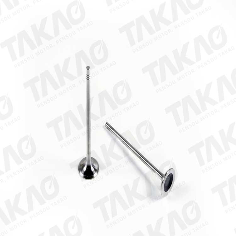 Válvula de Escape do Motor Takao VESPG16A