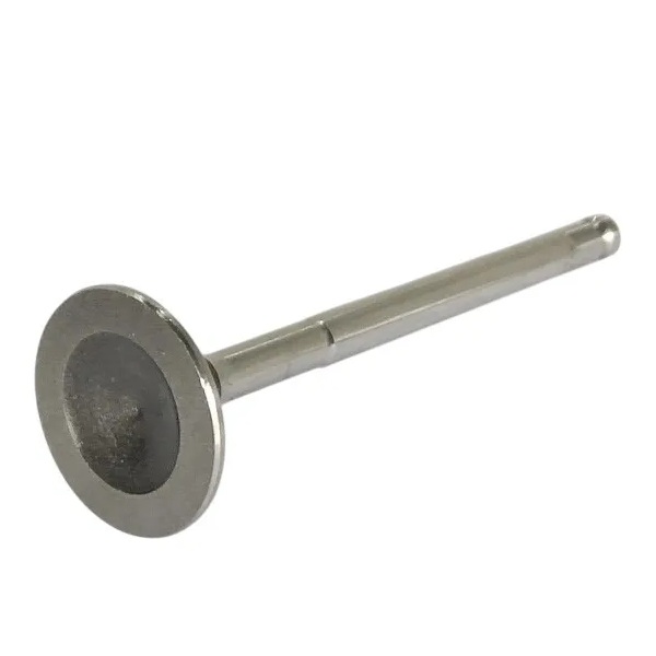 Válvula de Escape Motorbest 01334600