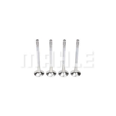 Válvula de Escape Mahle/Metal Leve VE0250169STD