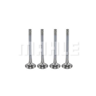 Válvula de Escape Mahle/Metal Leve VE0250053STD