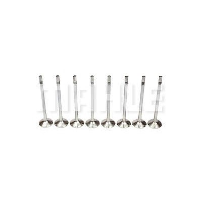 Válvula de Escape Mahle/Metal Leve VE0570232STD