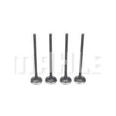 Válvula de Escape Mahle/Metal Leve VE0510210STD