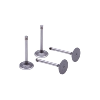 Válvula de Escape Mahle/Metal Leve VE2081729STD