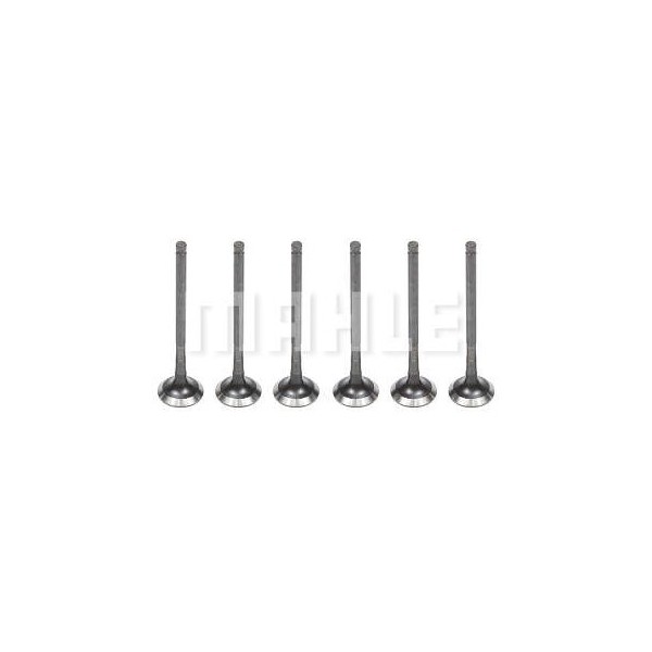 Válvula de Escape Mahle/Metal Leve VE2081665STD