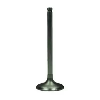 Válvula de Escape Motorbest 01342820
