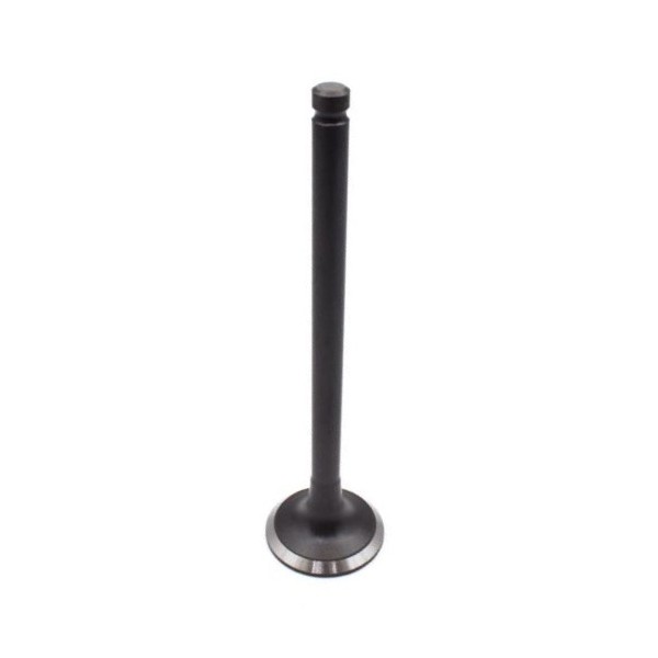 Válvula de Escape Mahle/Metal Leve VE1950238STD