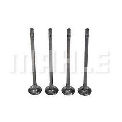 Válvula de Escape Mahle/Metal Leve VE0181607STD