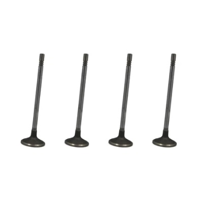 Válvula de Escape Mahle/Metal Leve VE0181757STD